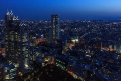 34-Tokyo from the top of the Tokyo Metropolitan Government Building at sunset